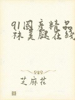 91国产精品丝袜美腿在线观看