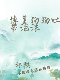 博美狗狗吐黄水带泡沫