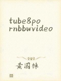 tube8pornbbwvideo