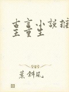 古言小说推荐女主重生