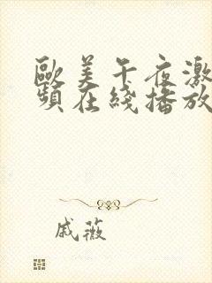 欧美午夜激情视频在线播放