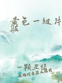 黄色一级片国产版