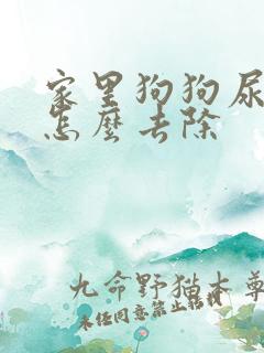 家里狗狗尿骚味怎么去除