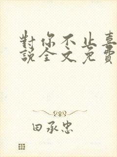 对你不止喜欢小说全文免费阅读