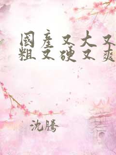 国产又大又黄又粗又硬又爽