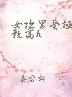 女攻男受极限调教高h