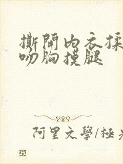 撕开内衣揉捏胸吻胸摸腿