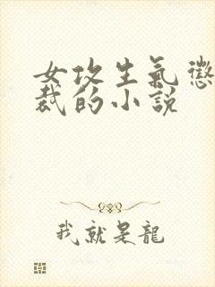 女攻生气惩罚总裁的小说