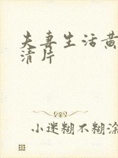 夫妻生活黄色高清片