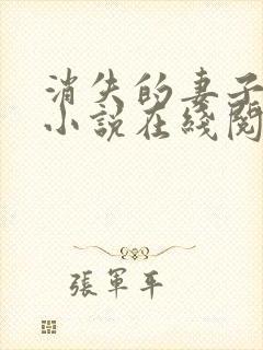 消失的妻子素素小说在线阅读