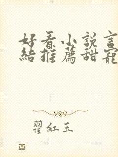 好看小说言情完结推荐甜宠文