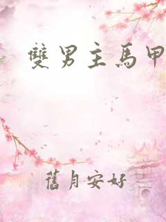 双男主马甲爽文