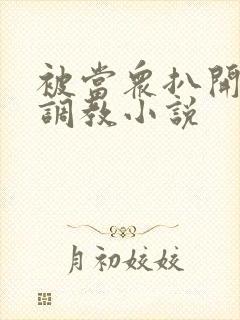 被当众扒开双腿调教小说