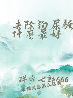 去除狗尿骚味用什么最好