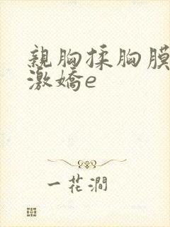 亲胸揉胸膜下刺激娇e