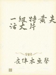 一级特黄夫妻生活大片