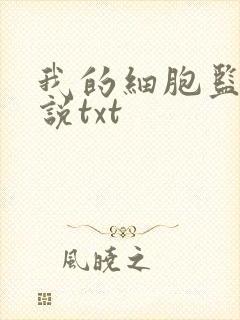 我的细胞监狱小说txt
