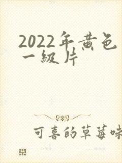 2022年黄色一级片