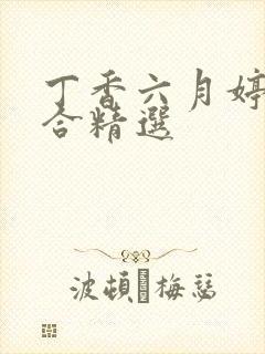 丁香六月婷婷综合精选