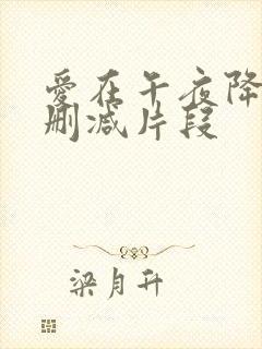 爱在午夜降临前删减片段