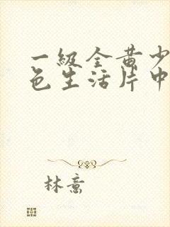 一级全黄少妇性色生活片中文