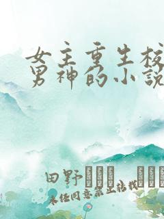 女主重生校园追男神的小说