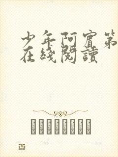 少年阿宾第一章在线阅读