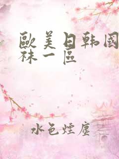 欧美日韩国产丝袜一区