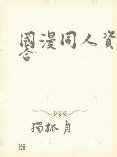 国漫同人资源整合