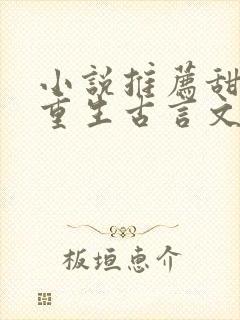 小说推荐甜宠文重生古言文