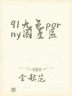 91九色porny国产区