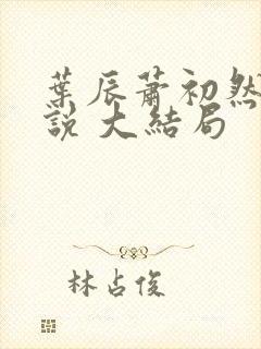 叶辰萧初然 小说 大结局