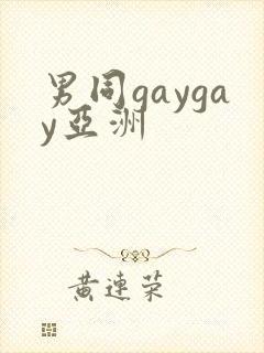 男同gaygay亚洲