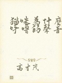 猫咪为什么呼噜呼噜的声音