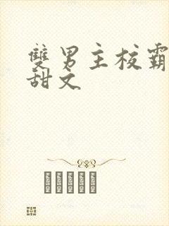 双男主校霸校园甜文