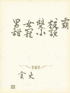 男女双校霸校园甜宠小说