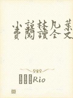 小说林凡叶惜免费阅读全文最新章节