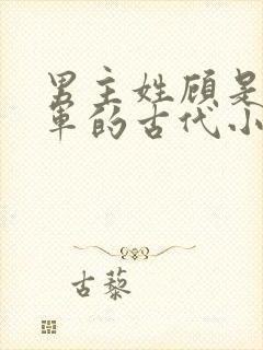 男主姓顾是个将军的古代小说