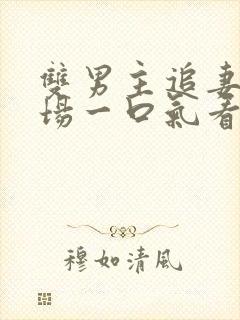 双男主追妻火葬场一口气看完