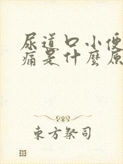 尿道口小便时刺痛是什么原因引起的