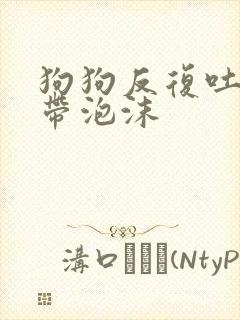 狗狗反复吐黄水带泡沫