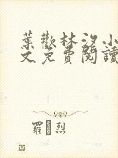 叶欢林汐小说全文免费阅读