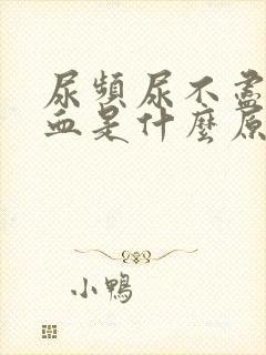 尿频尿不尽还尿血是什么原因