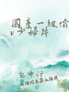 国产一级偷拍av少妇片