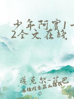 少年阿宾1一72全文在线
