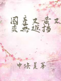 国产又黄又色又爽无遮挡