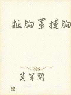 扯胸罩摸胸网站