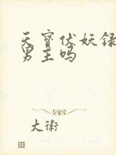 天宝伏妖录是双男主吗