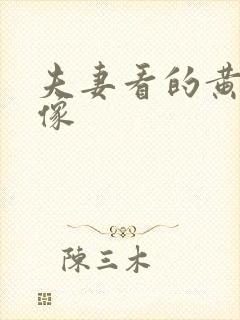 夫妻看的黄色录像