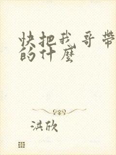 快把我哥带走讲的什么